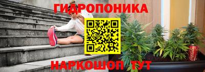 индика Азнакаево