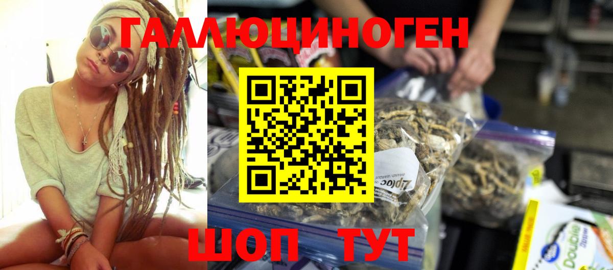 Псилоцибиновые грибы GOLDEN TEACHER  Вход с VPN  Алатырь 